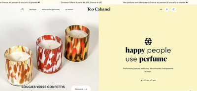 Refonte de thème Shopify pour Teo Cabanel - Création de site internet