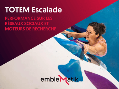 Marketing digital multicanal - TOTEM Escalade - Strategia digitale