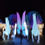 aicom36