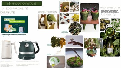 TENDANCES SOCIO STYLE RIVIEA&BAR - Packaging