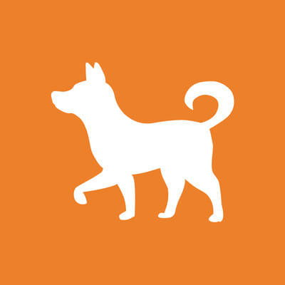 Deal Dog