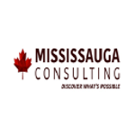 Mississauga Consulting - Digital Marketing, SEO, Web Design