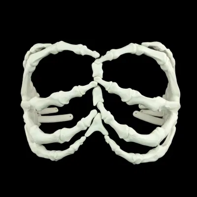 Nuha Jes Izman x Yellowjackets Premier - 3D