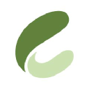 Crocovision - Webdesign Mit Biss