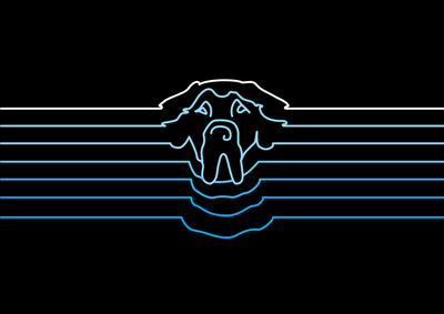 Mojestik - Ergonomie (UX/UI)