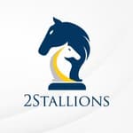 2Stallions Malaysia - Digital Marketing Agency logo