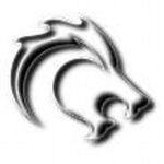 Lumiere Consulting, Inc