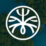 Manglar Producciones logo