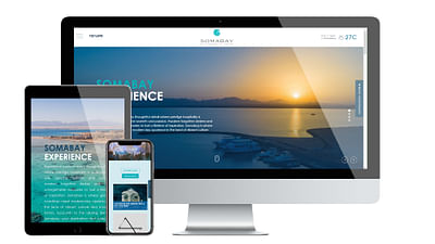 Somabay website design and development - Website Creatie