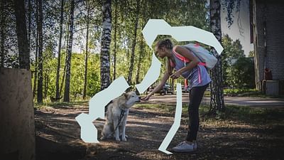 Content Marketing for Pet Food Manufacturer - Content Strategy