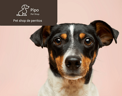 Pipo Pet Shop - Tienda Online - E-Commerce