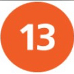 Article 13
