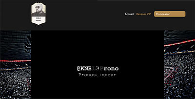 Site Blogging KNBL3 Prono - Creación de Sitios Web