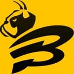 Buzzdron Media LLC logo