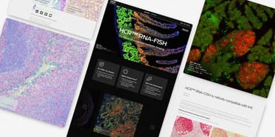 Science Website for Californian Biotech Company - E-commerce
