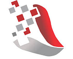 Digital Vocano logo
