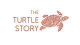The Turtle Story - Design Studio