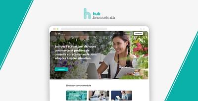 Hub.Brussels - Usabilidad (UX/UI)