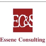 ESSE One Consulting logo