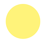 Fortes Vision
