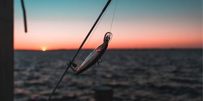 An optimized product feed: To catch new fish - Marketing