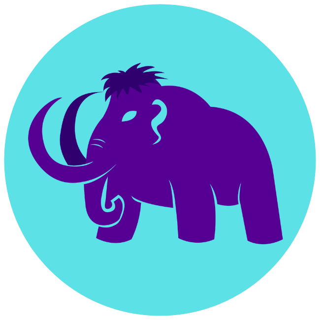 Zammeth Web Development