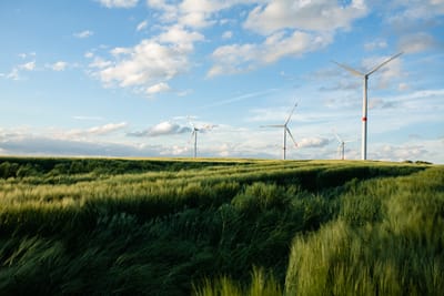 Building Real-Time AI to Detect Fraud in Renewable Energy Certificates - Artificial Intelligence