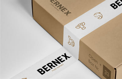 Diseño gráfico para Bernex - Creación de Sitios Web