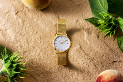 Hanzze Watches - Fotografie