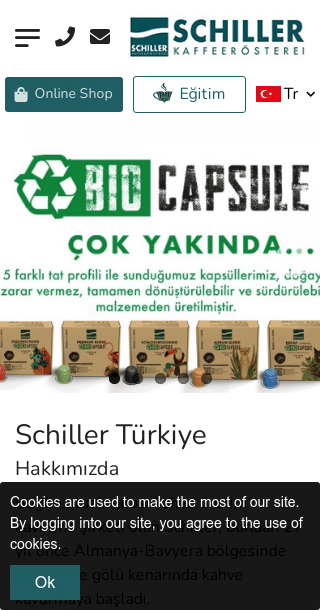 Schiller Turkiye - Creación de Sitios Web
