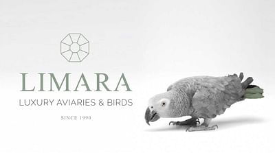 Limara - Branding & Positionering