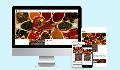 Website Design for Mr. Spices - Website Creation