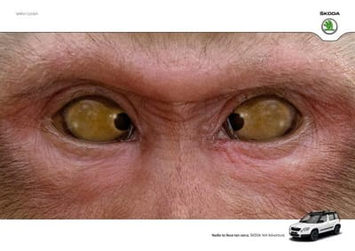 Monkey - Publicité