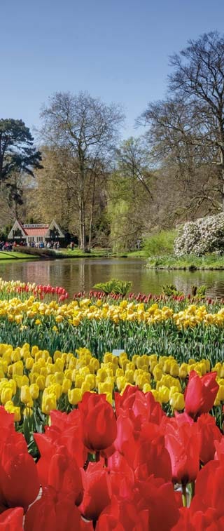 Keukenhof - Digital Strategy