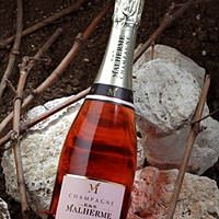 Champagne ... - Innovation