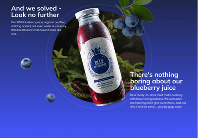 The Blue Renaissance - e-Commerce Website - Website Creation