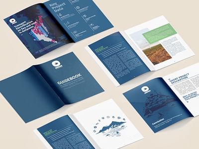 NESOI - Project Guidebook - Grafikdesign