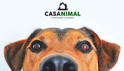 Tienda Online, SEO y Redes Sociales en Casa Animal - Website Creatie