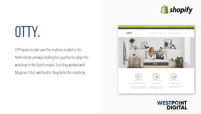 Matress shop with very high demands - Shopify - SEO