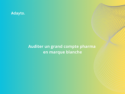 Auditer un grand compte pharma en marque blanche - Référencement naturel