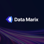 DataMarix logo