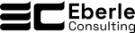 Eberle Consulting GmbH & Co. KG logo