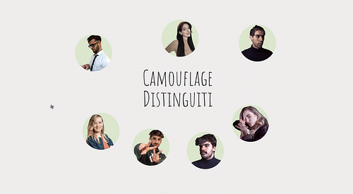 Camouflage cover