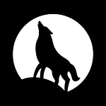 MOCANOX - Content Creation