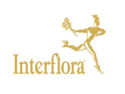 caso de éxito SEO + Contenidos - Interflora - SEO
