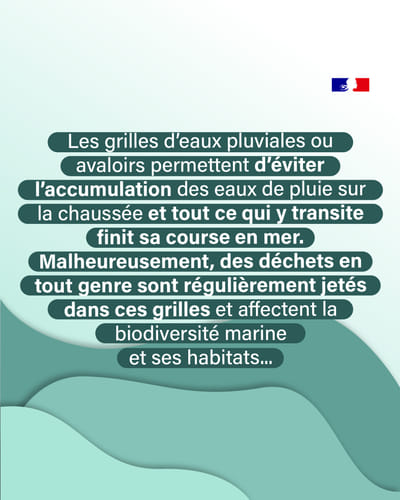 Agence de l'eau (Community Management) - Réseaux sociaux