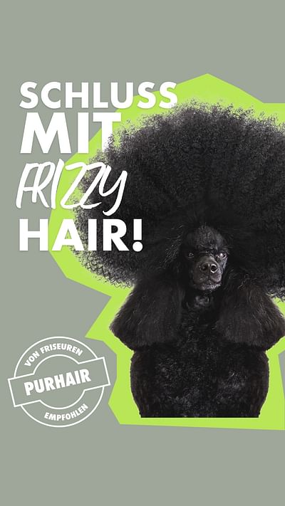 Performance und Creatives für Pur Hair - Social Media