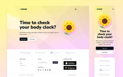 Owaves - Website Creation