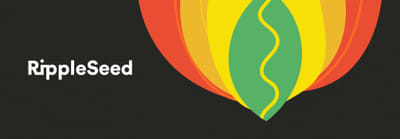 RippleSeed - Impact studio - Marktonderzoek