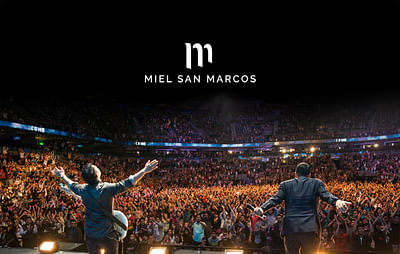 Miel San Marcos - Logo & branding